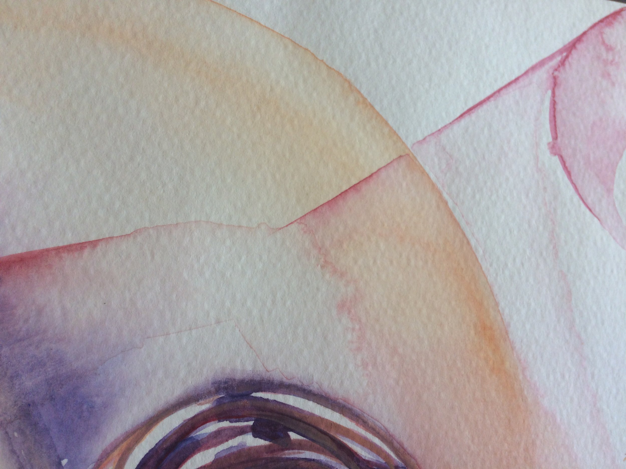 "pourtales", detail