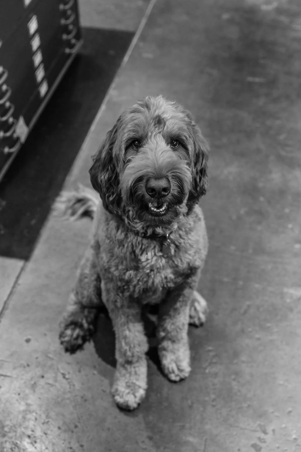 JCC Design Studio - Baxter