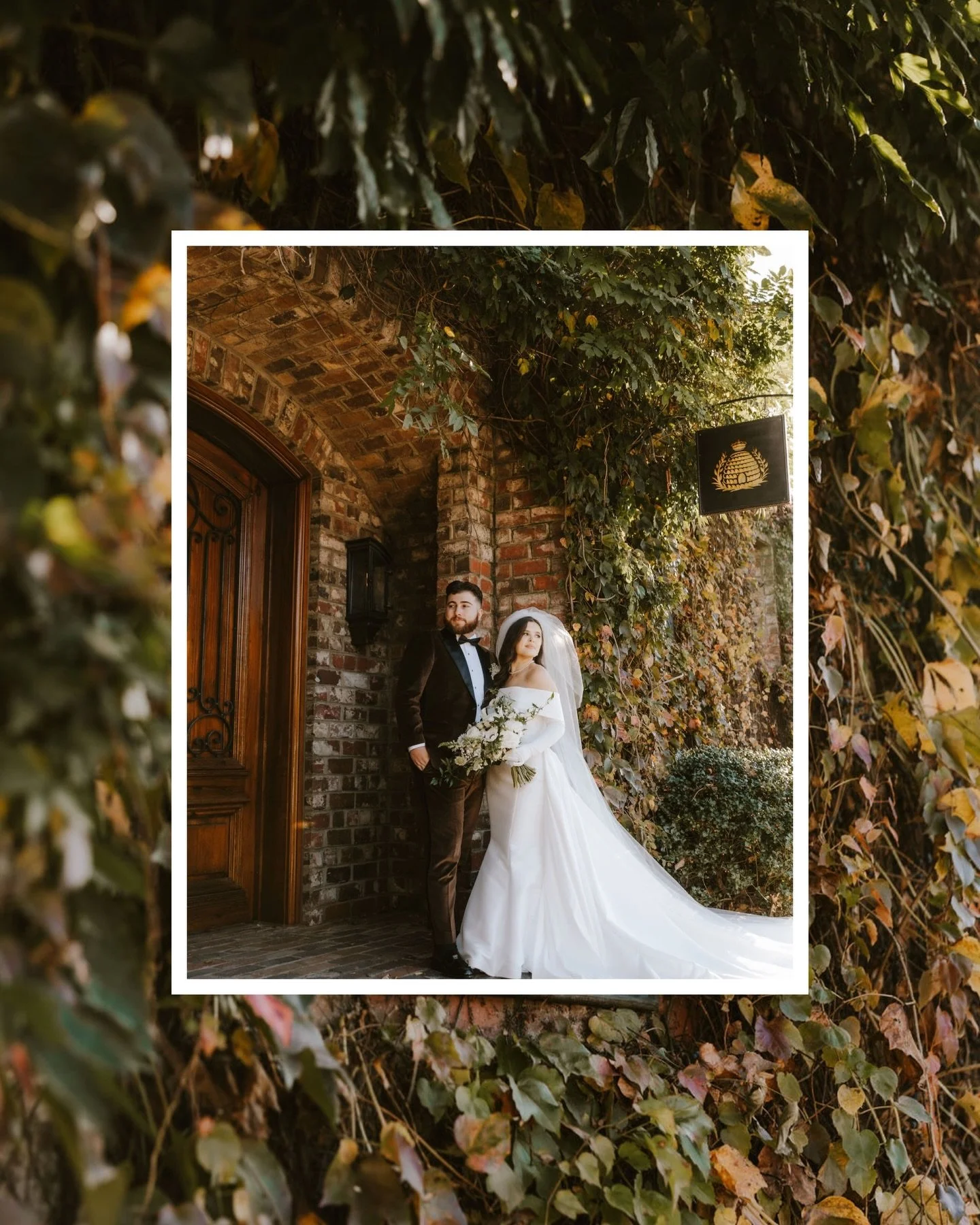 Drop a 🫶 if you love fall weddings as much as we do! There is just something about a November &lsquo;I do&rsquo; 🍂

&bull;
&bull;
&bull;
@apiaryonjefferson 
@mc.photography0317 
@druryfloral 
@blushandglowlex 
@riptideproductions 
@dsh_media 
@mart