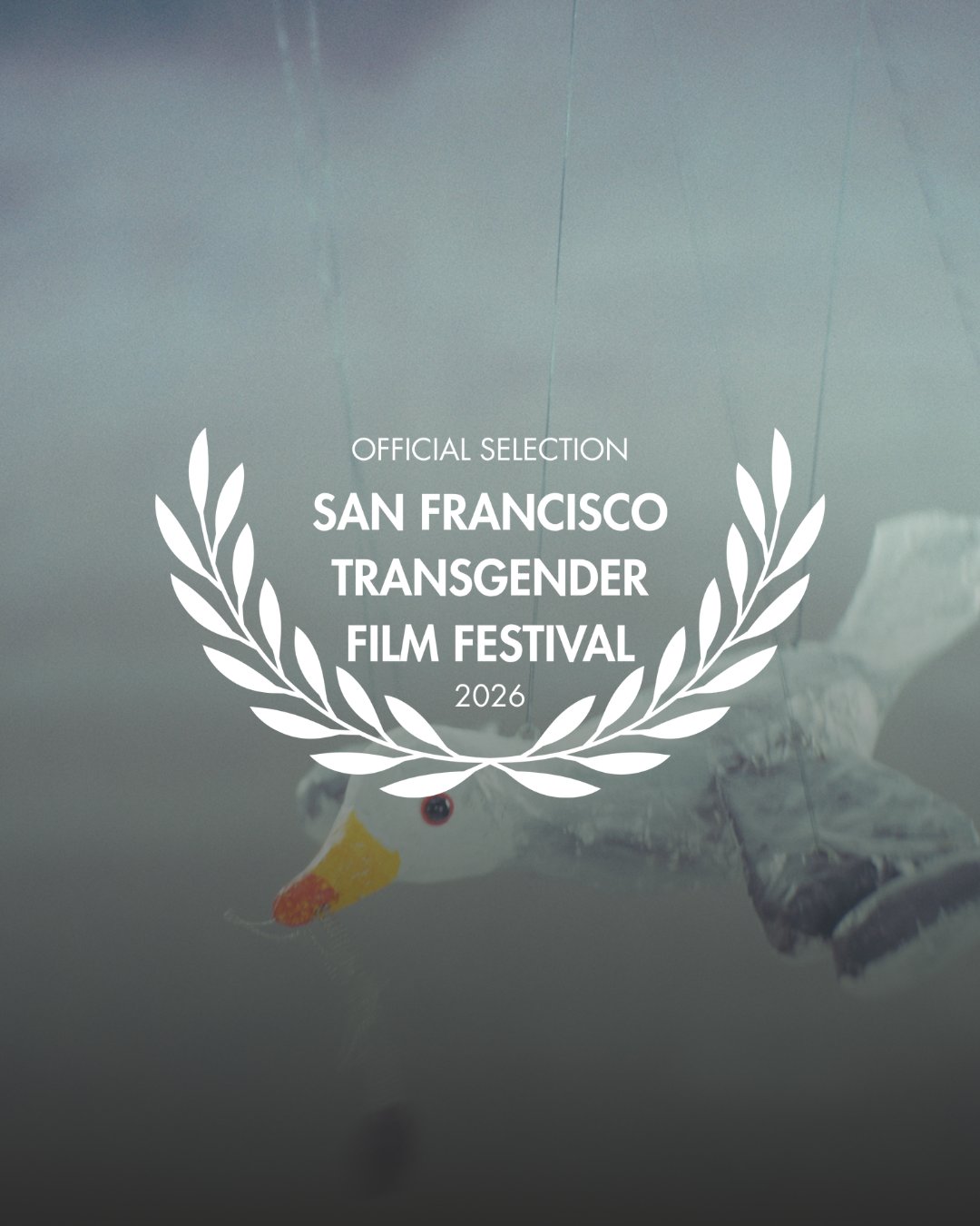 San Francisco Transgender Film Festival