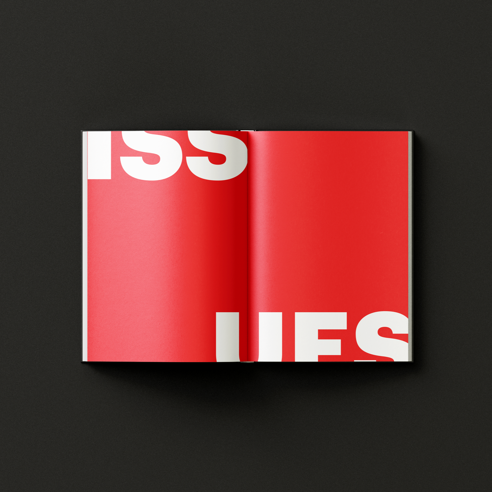 Editorial spread with bold red pages and oversized white typography "ISSUES". From "The Concept of Power".