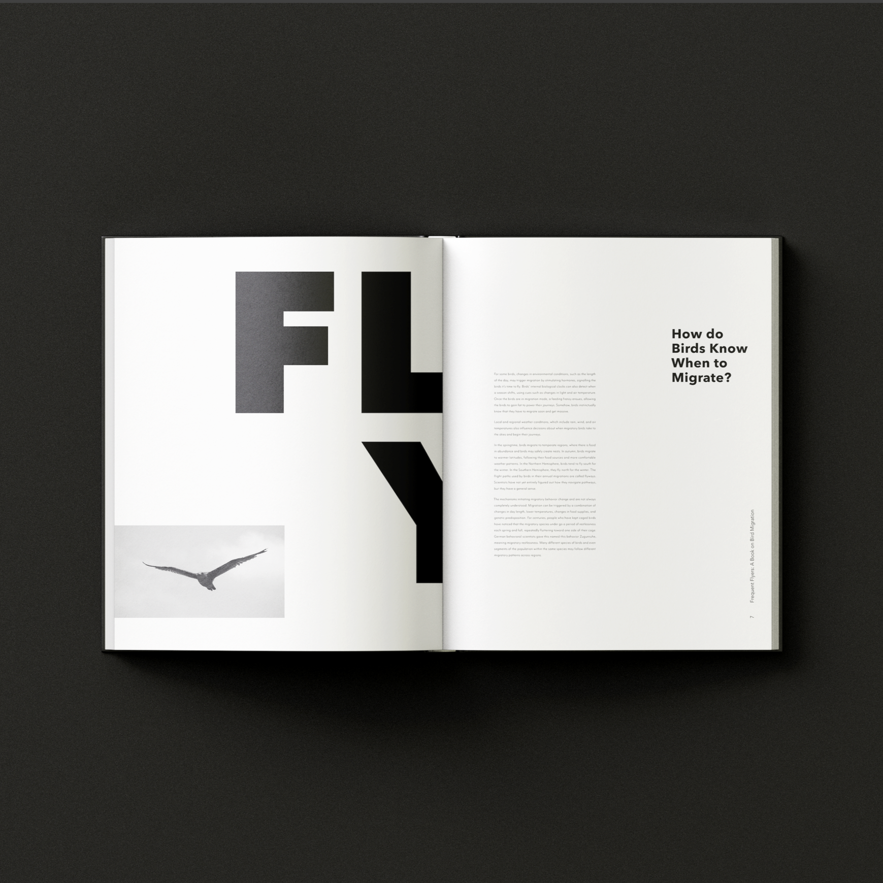 Editorial spread with large black typography and black-and-white photograph of a bird in flight. From "Frequent Flyers".