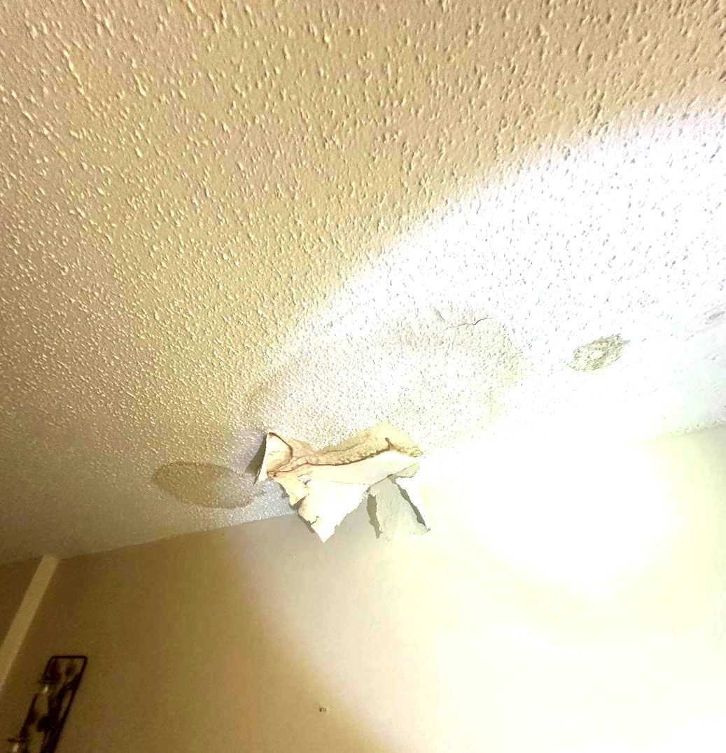 Textured ceiling material inspected and sampled for asbestos