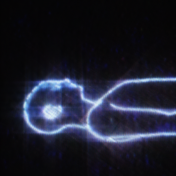 Neon Witch [Spotify Canvases]