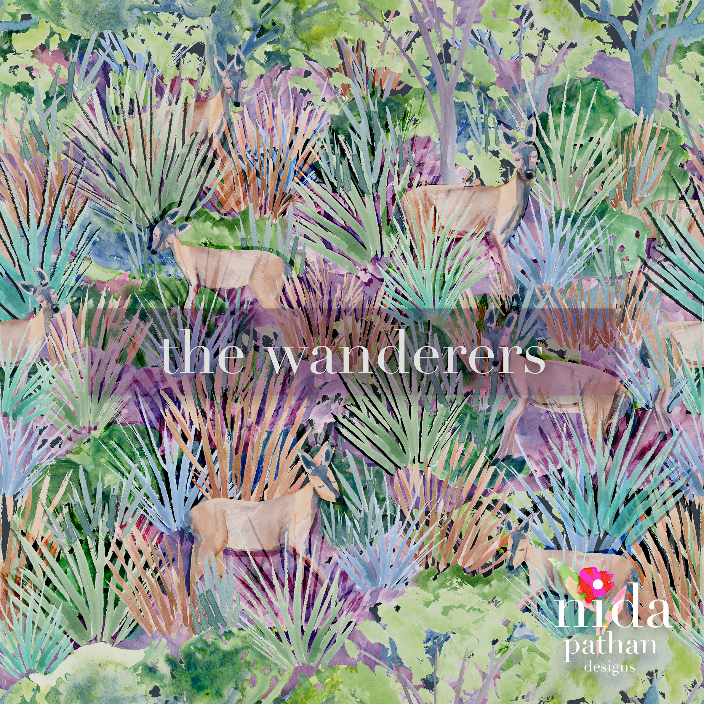 The Wanderers Collection