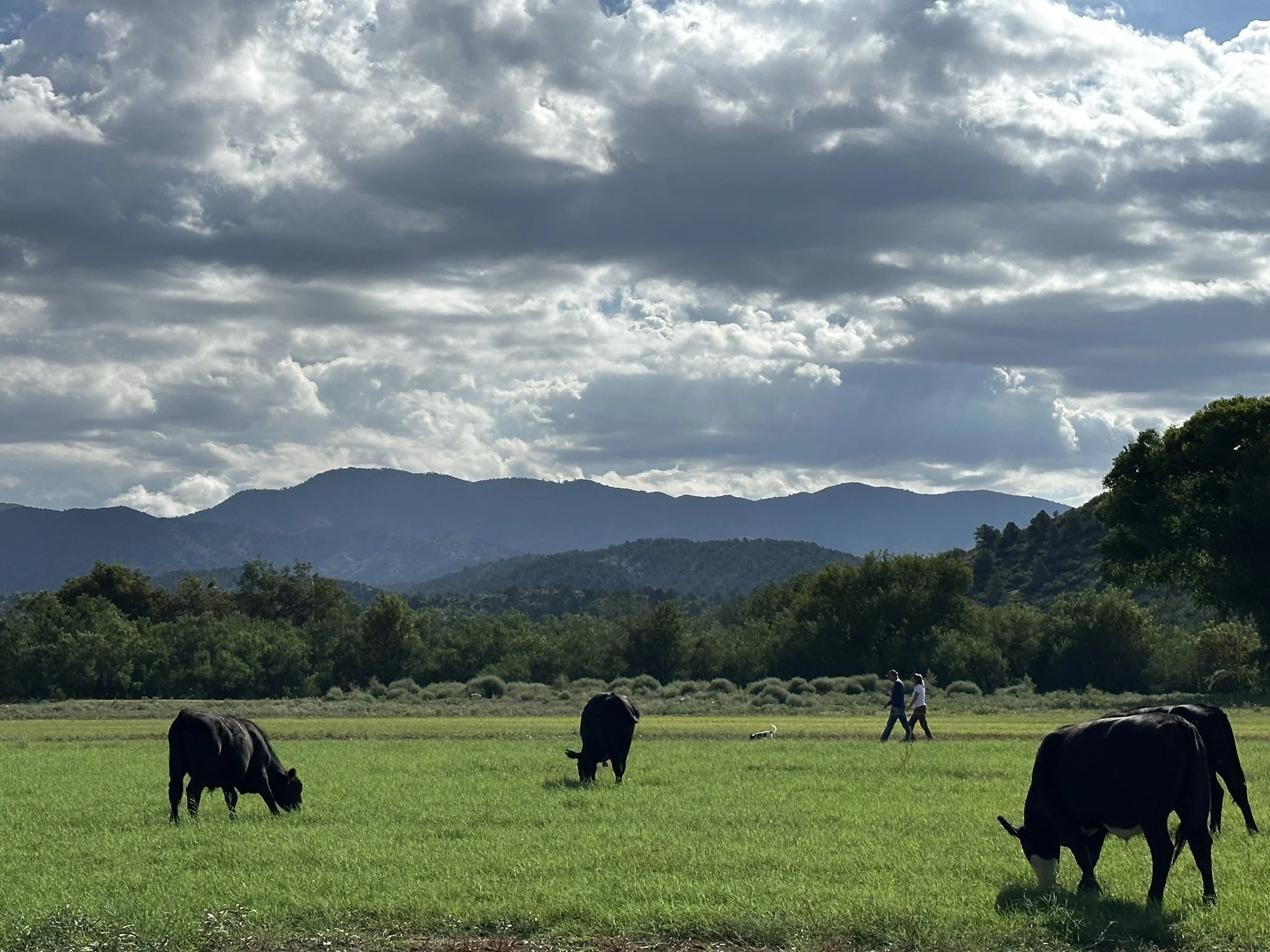 About Us — Iron Springs Ranch