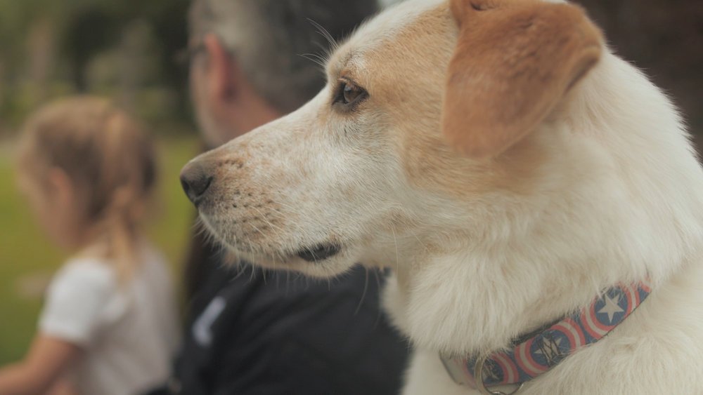Merrick Backcountry, Randy & Captain | Short Doc