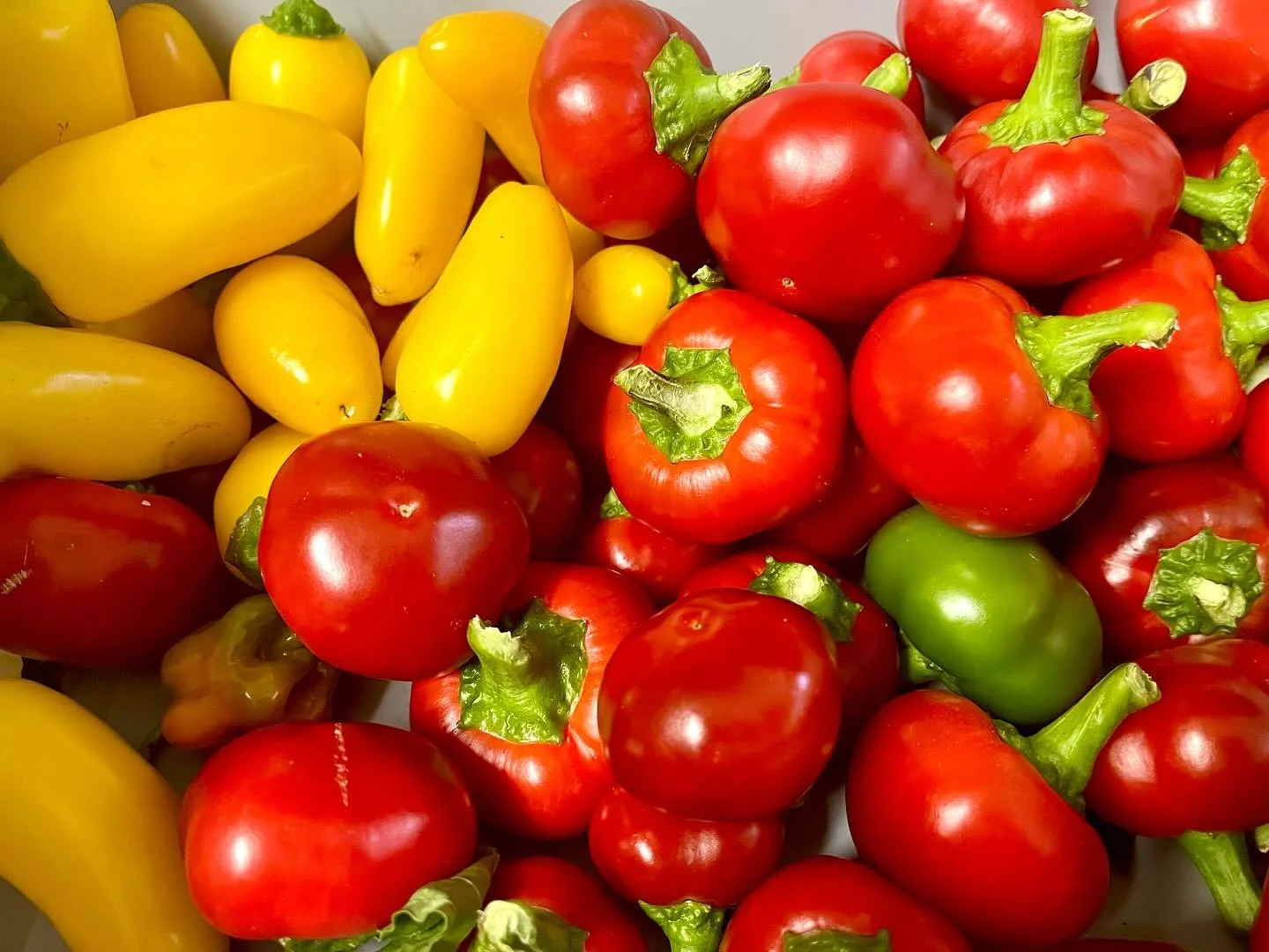 Did you know that we grow a year&rsquo;s worth of hot peppers that we use in our spicy products like Sweet Heat dip and salsas?