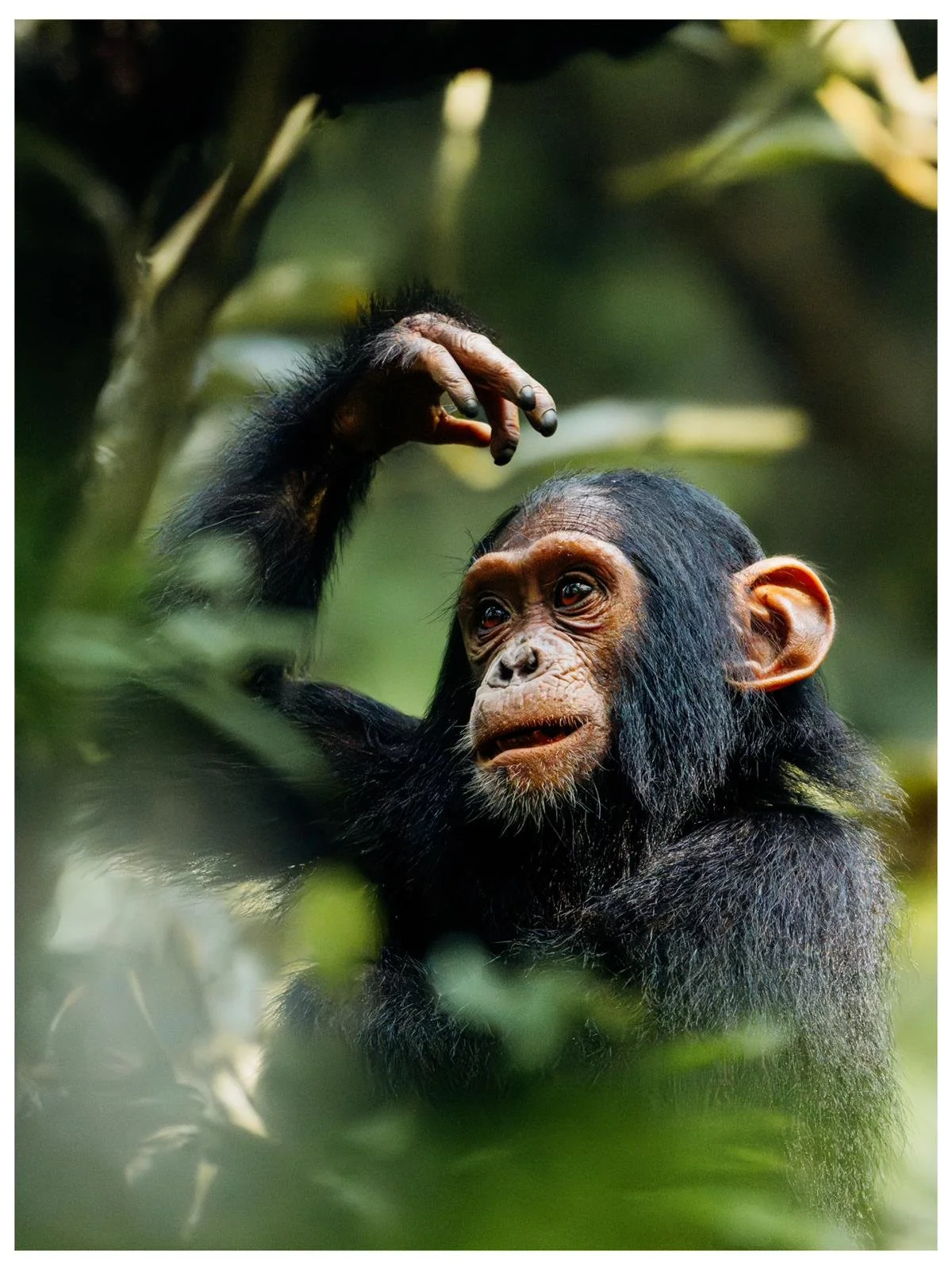 WhatsApp Image 2025-12-13 at 13.42.49.jpeg