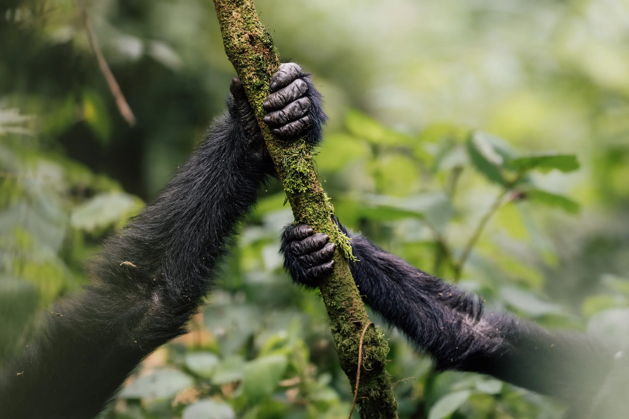 2024-09-uganda-by-marion-payr-1502.jpg