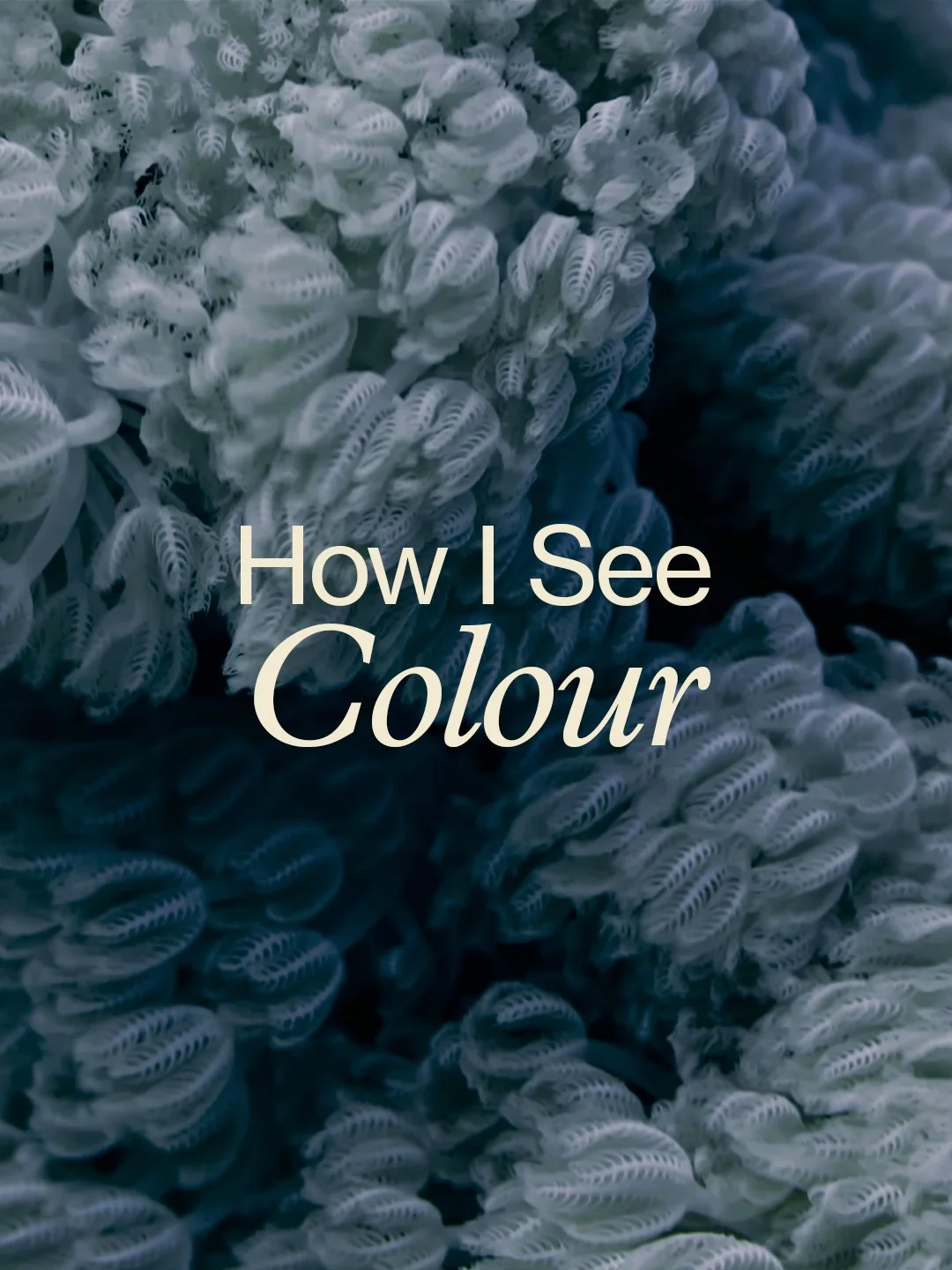 How I See Colour – 27 June 2026
