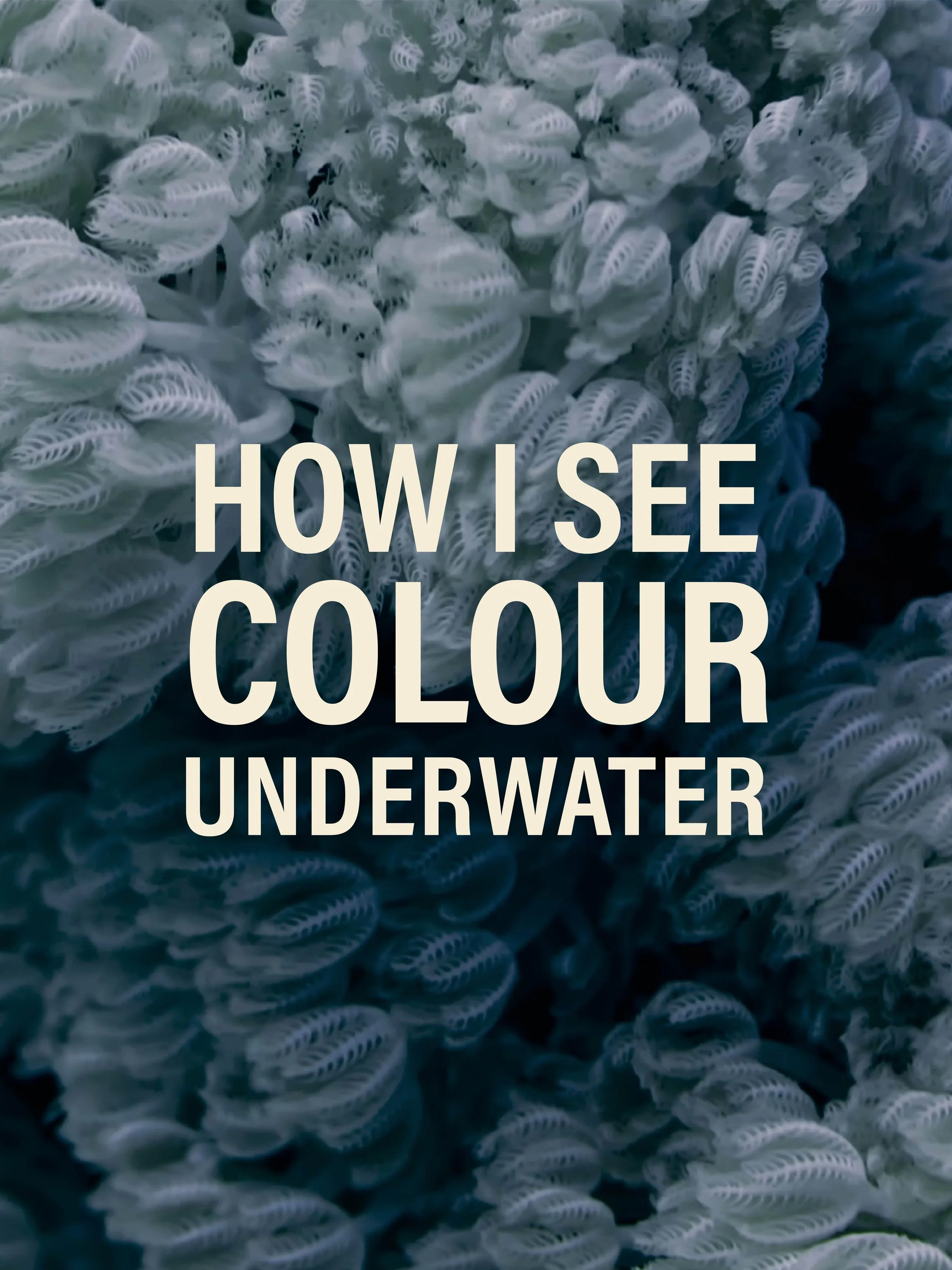 How I See Colour – Underwater – 90min – 22 July 2026
