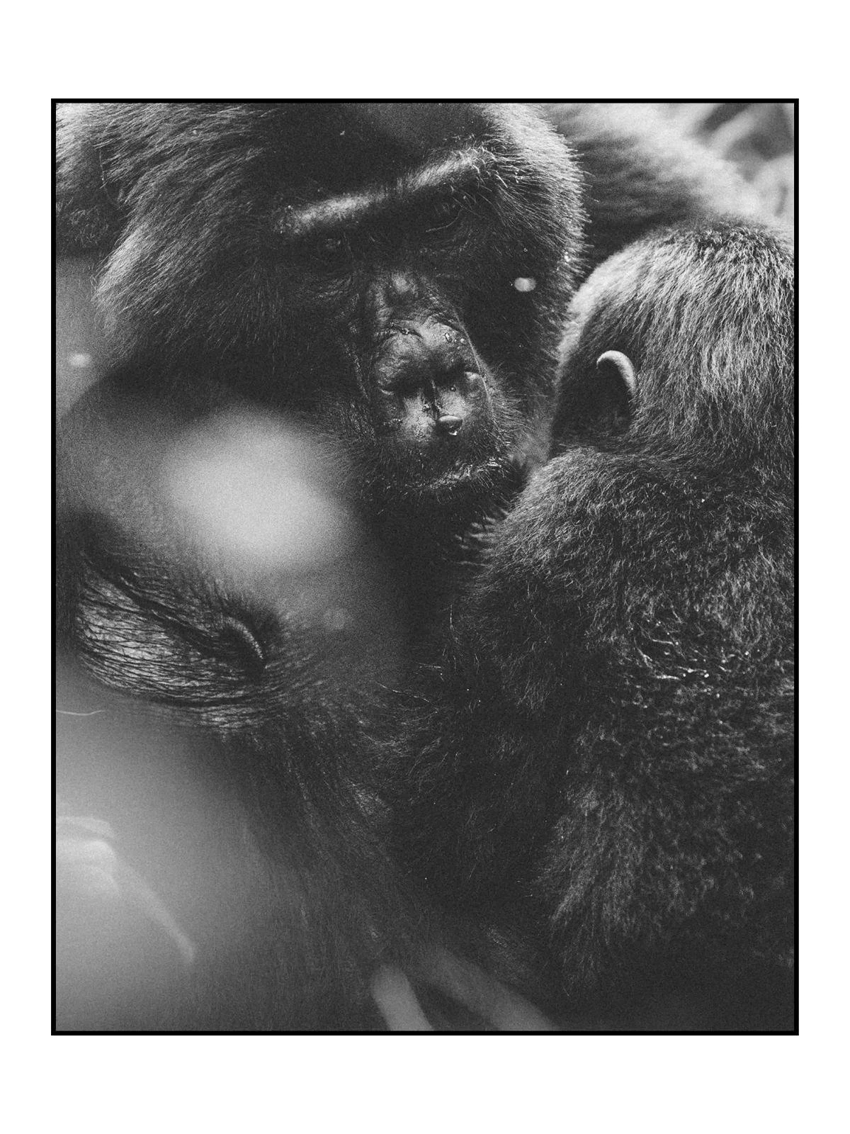 WhatsApp Image 2025-12-13 at 13.42.50 (1).jpeg