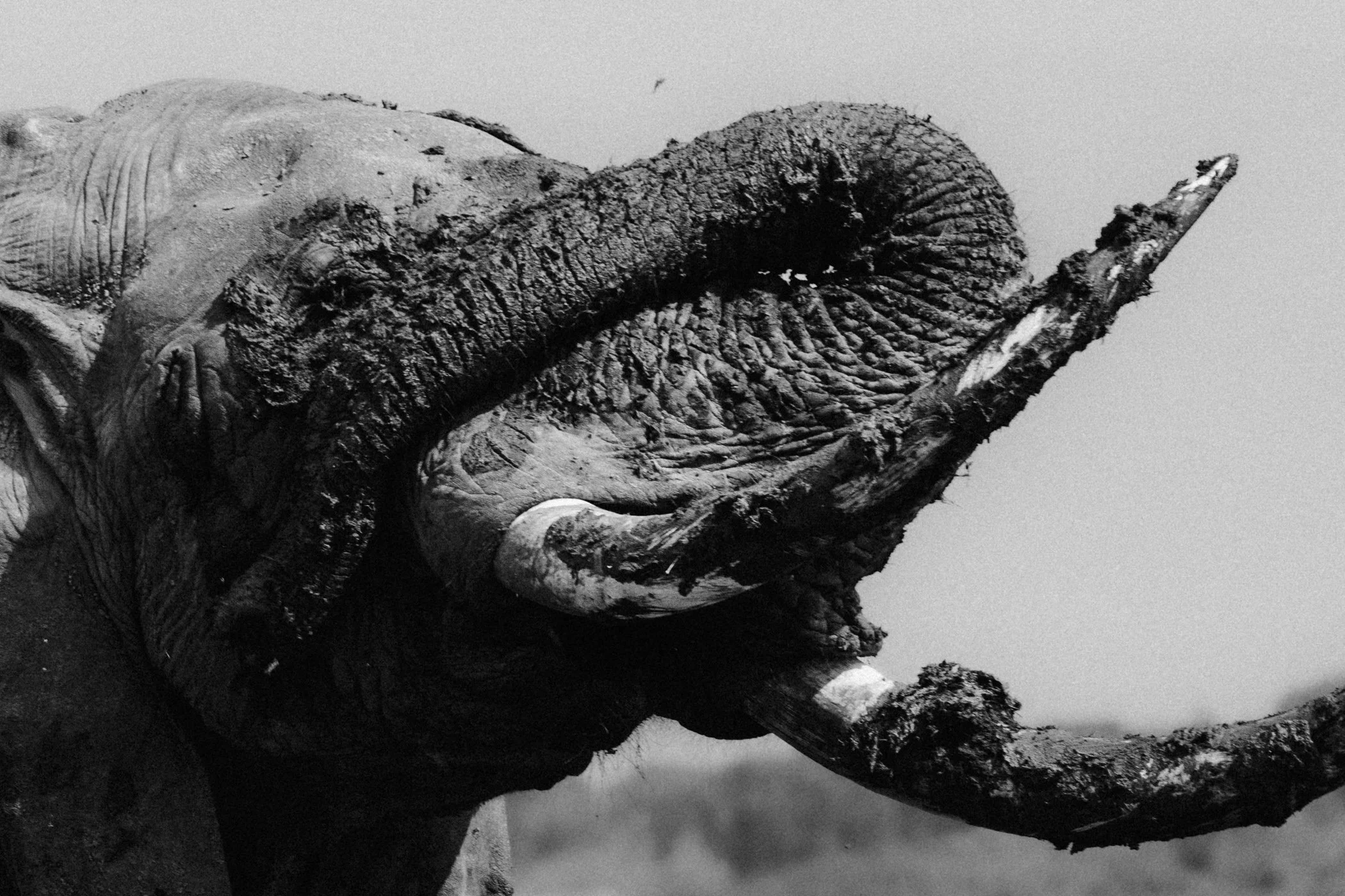 2024-09-uganda-by-marion-payr-1251.jpg
