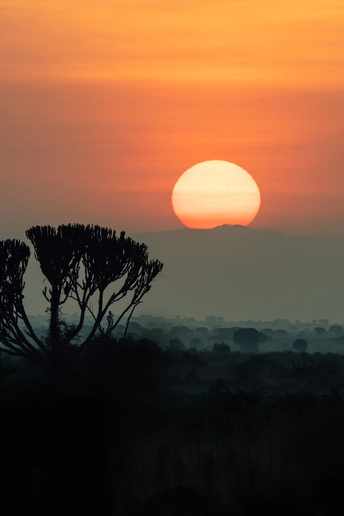 2024-09-uganda-by-marion-payr-1198.jpg