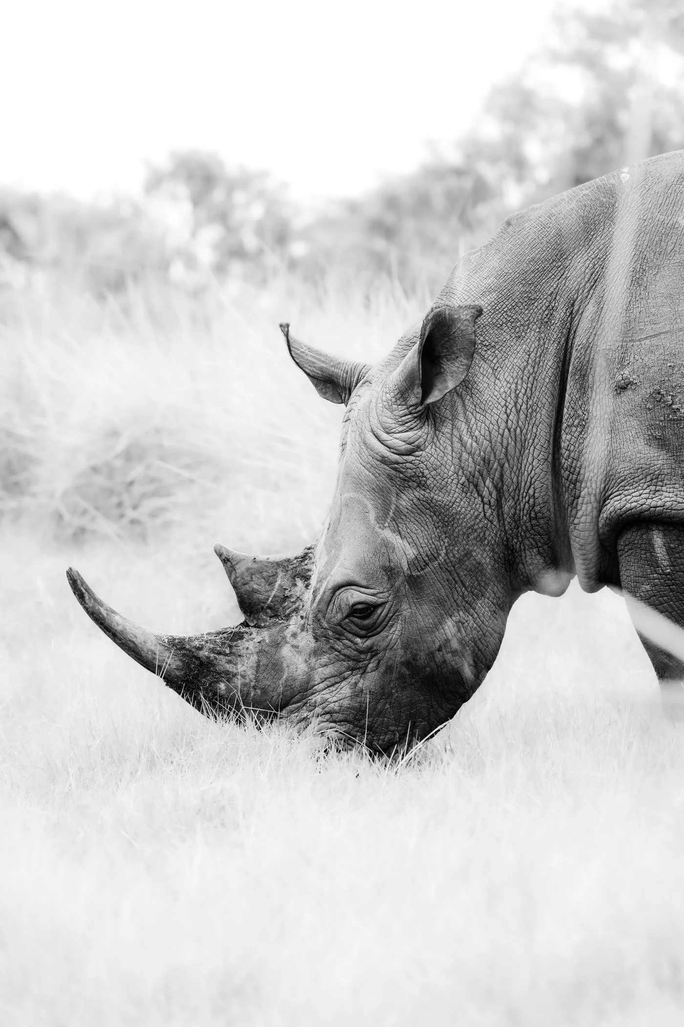 2024-09-uganda-by-marion-payr-115.jpg