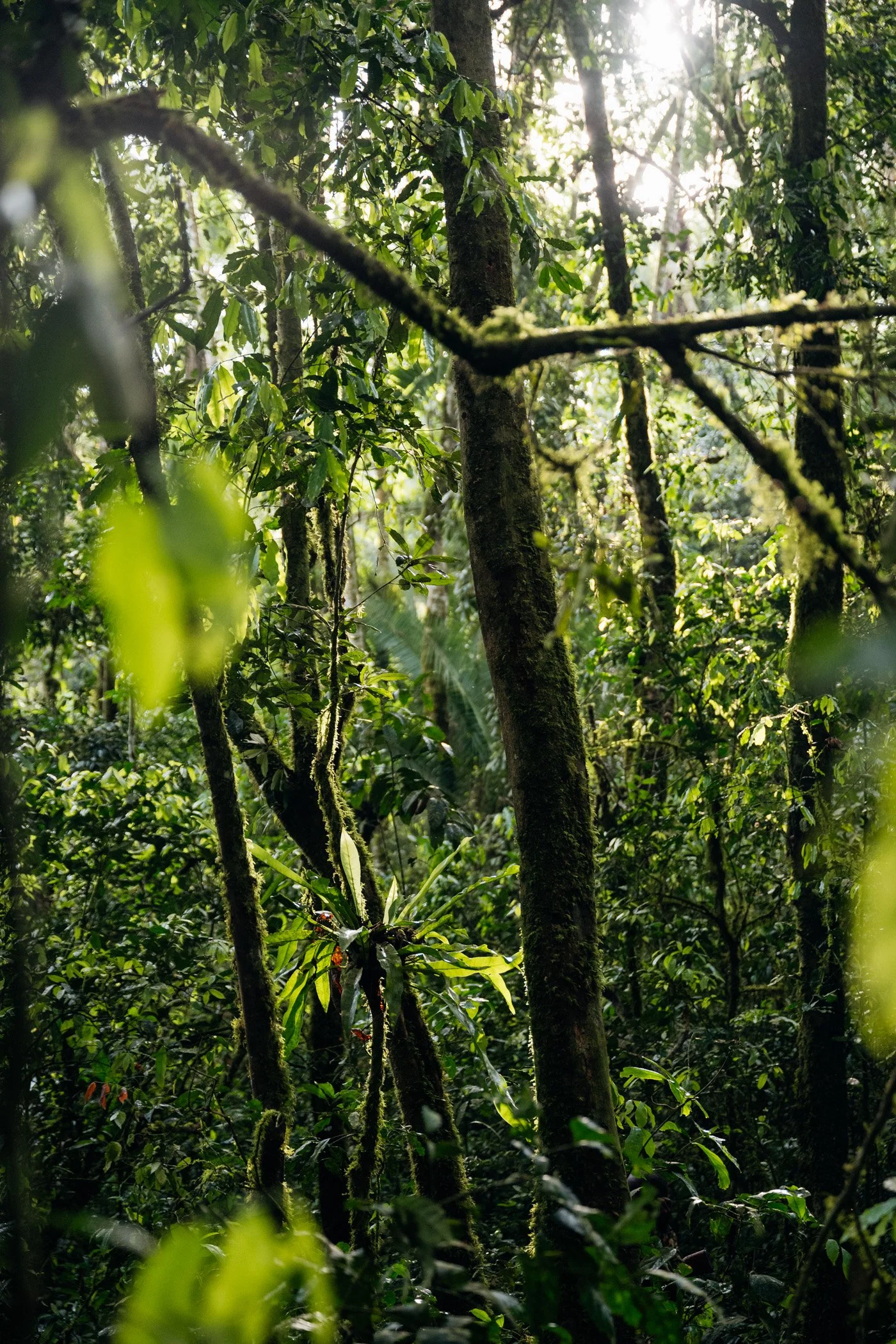 2024-09-uganda-by-marion-payr-726.jpg