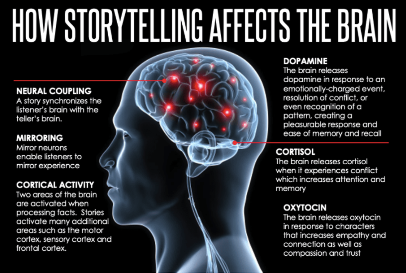 Brain science &amp; the power of storytelling