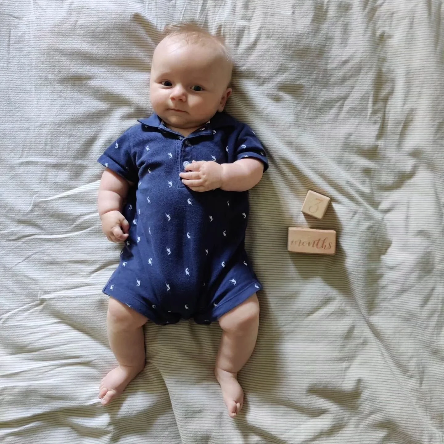 3 months of "bubby" as we all call him now thanks to Ria. Why do we spend 9 months trying to choose a name when we're never going to use it anyways? 🤣
.
he spends his days smiling and cooing and trying not to get poked in the eye by his af