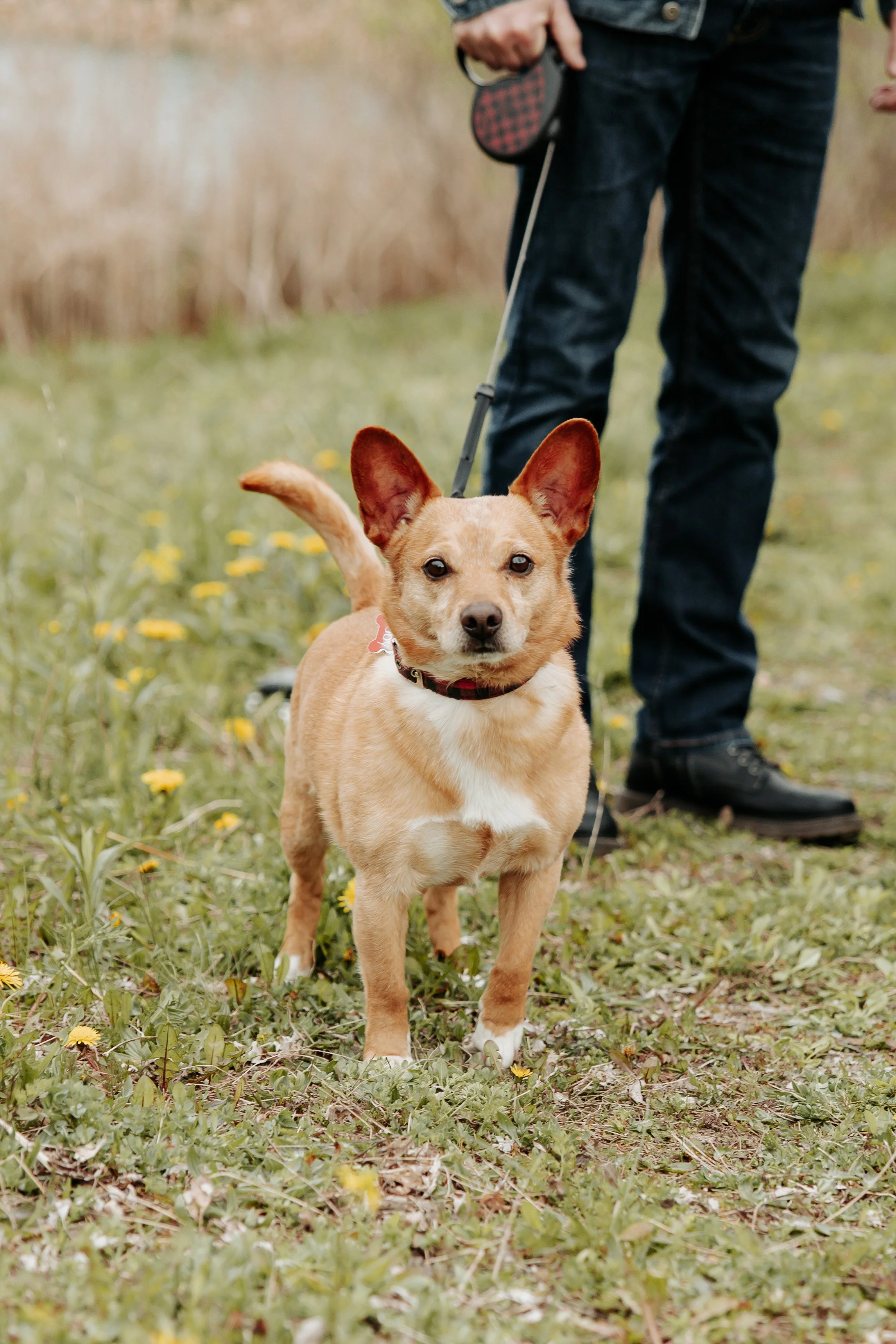 MicaelaBPhoto-2528.jpg