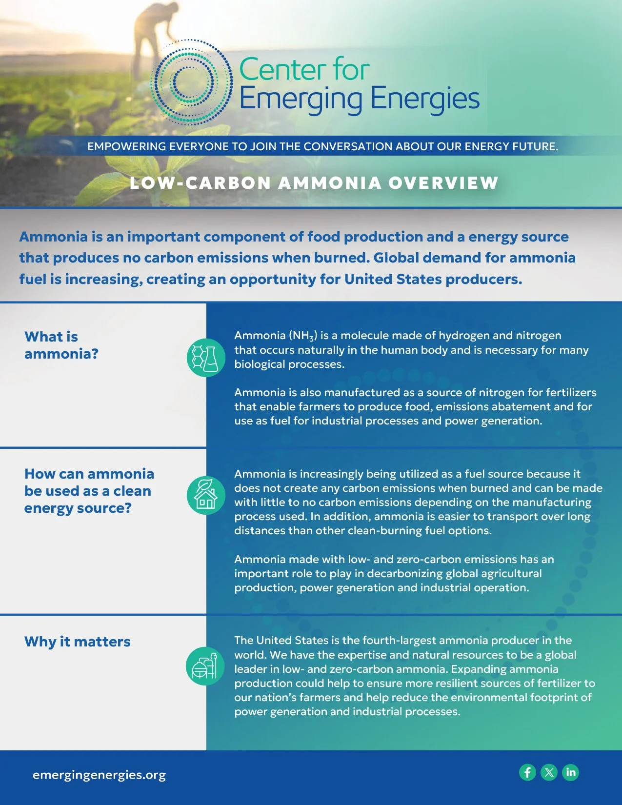 Low - Carbon Ammonia