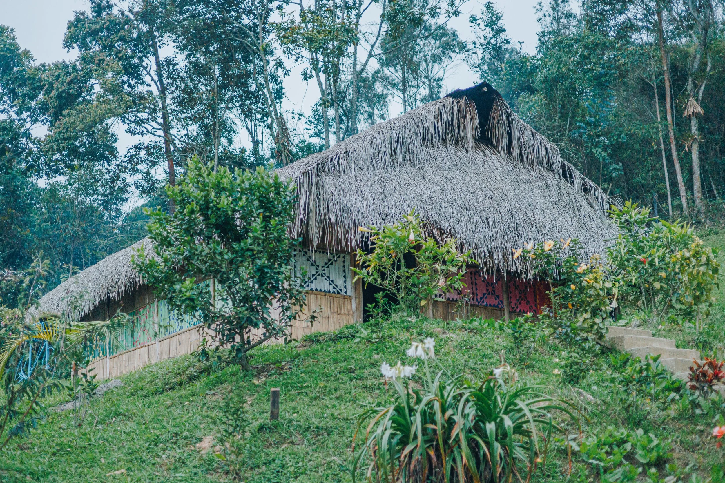 A traditional hut with a thatched roof located in a lush green landscape, surrounded by trees and tropical plants, with a staircase leading up to the entrance.