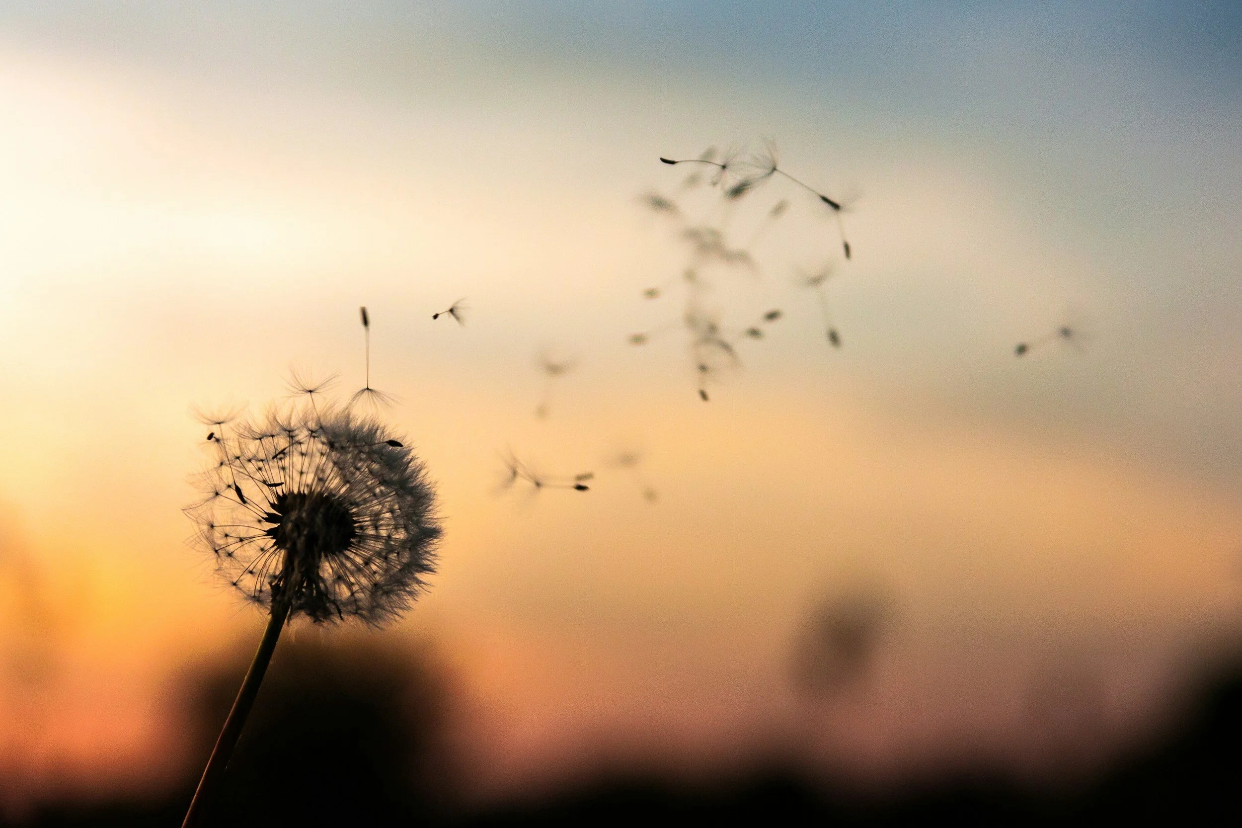 Surprises &amp; Clarity Ahead—Your Guide to Gemini Season