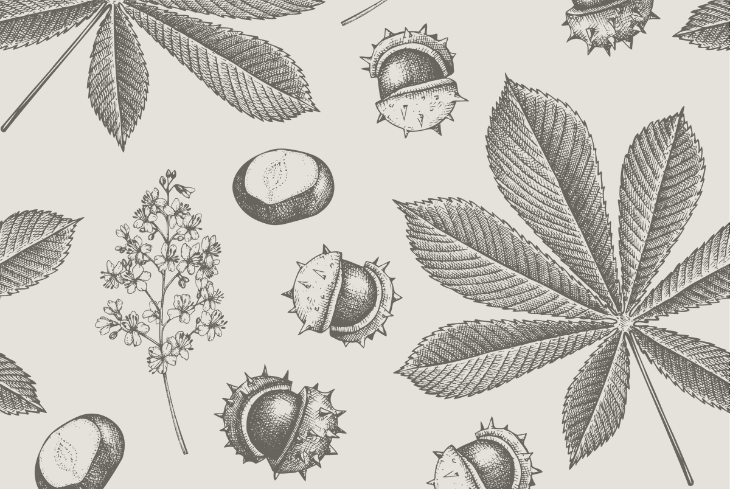 Join Me On Substack: The new home for the CREED Design Blog