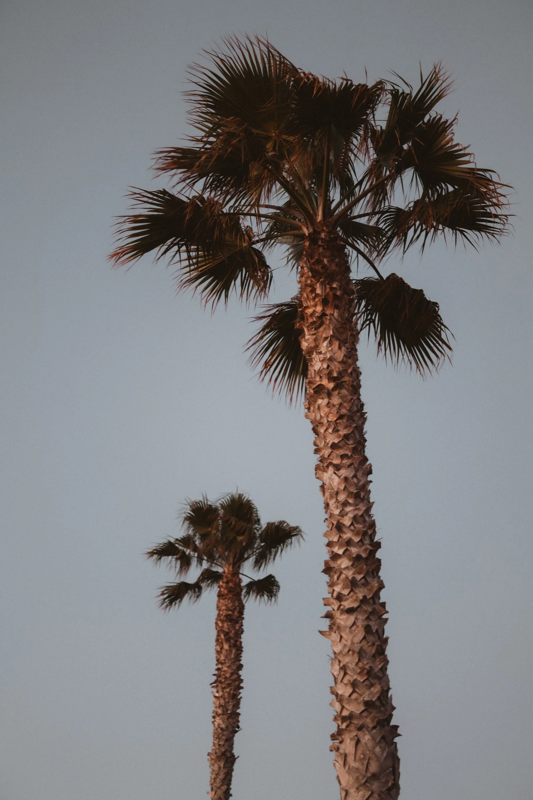 JENN AND THE CAMERA-6.jpg