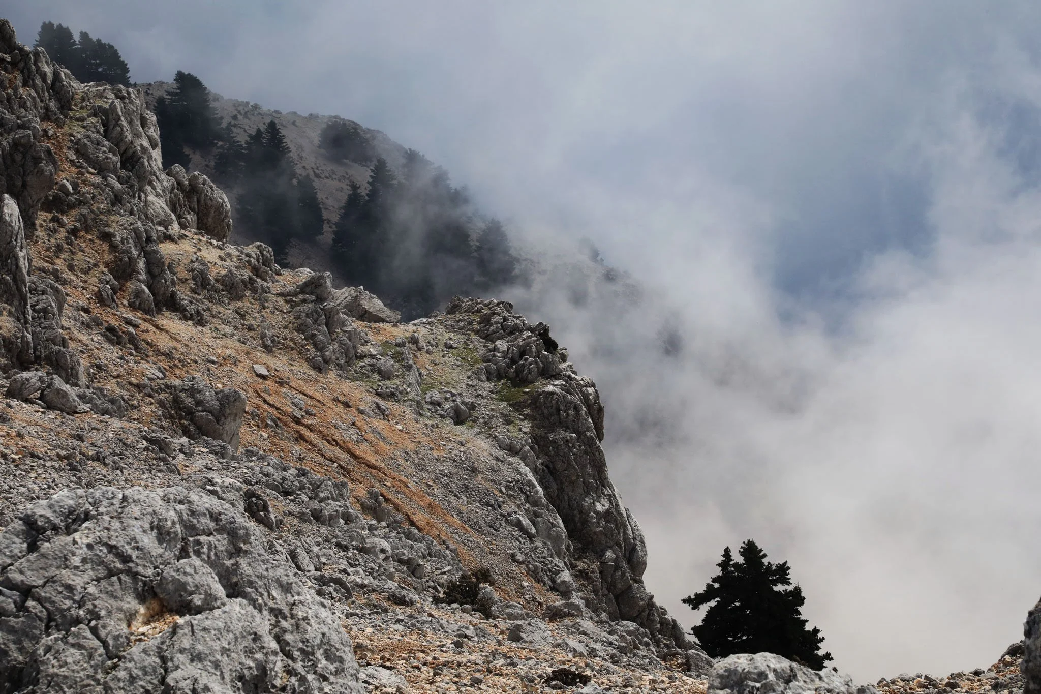 Mount Ainos 109.jpg