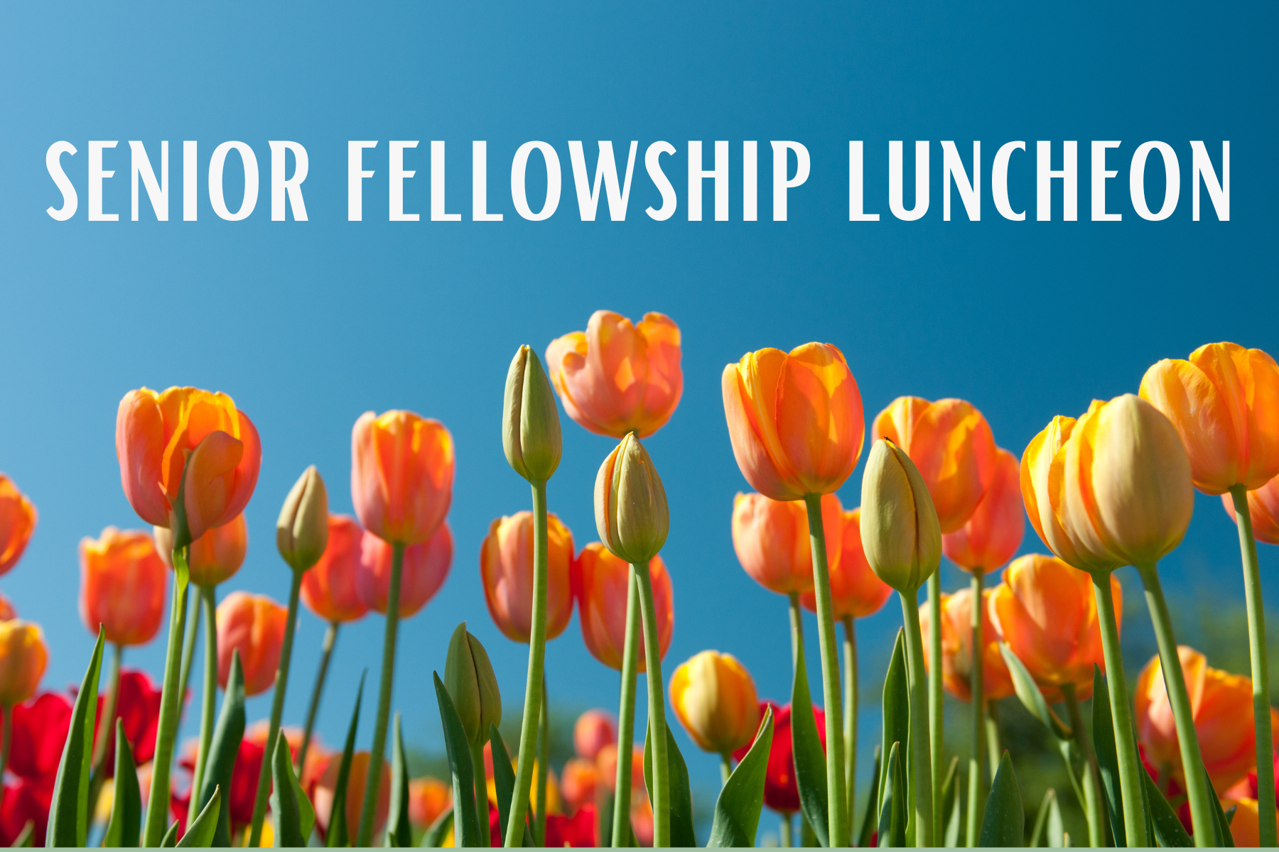 Senior Fellowship Luncheon