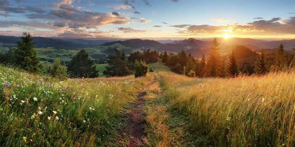 Clear The Path: Resources for the Sacred Self