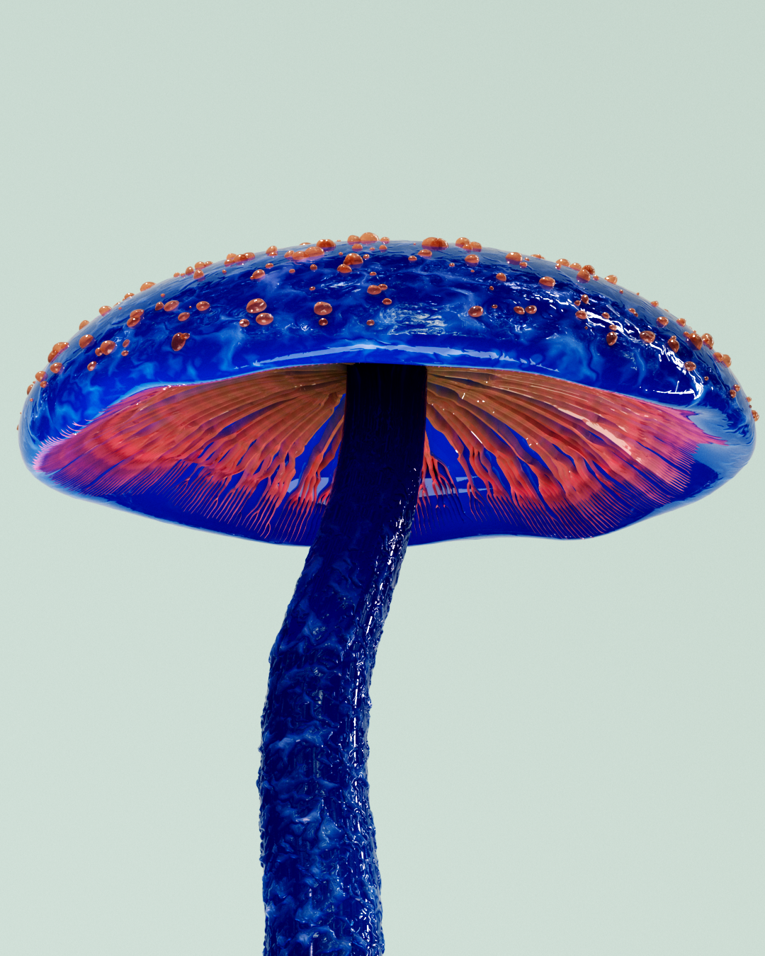 0506_Fungi_RND_009.png