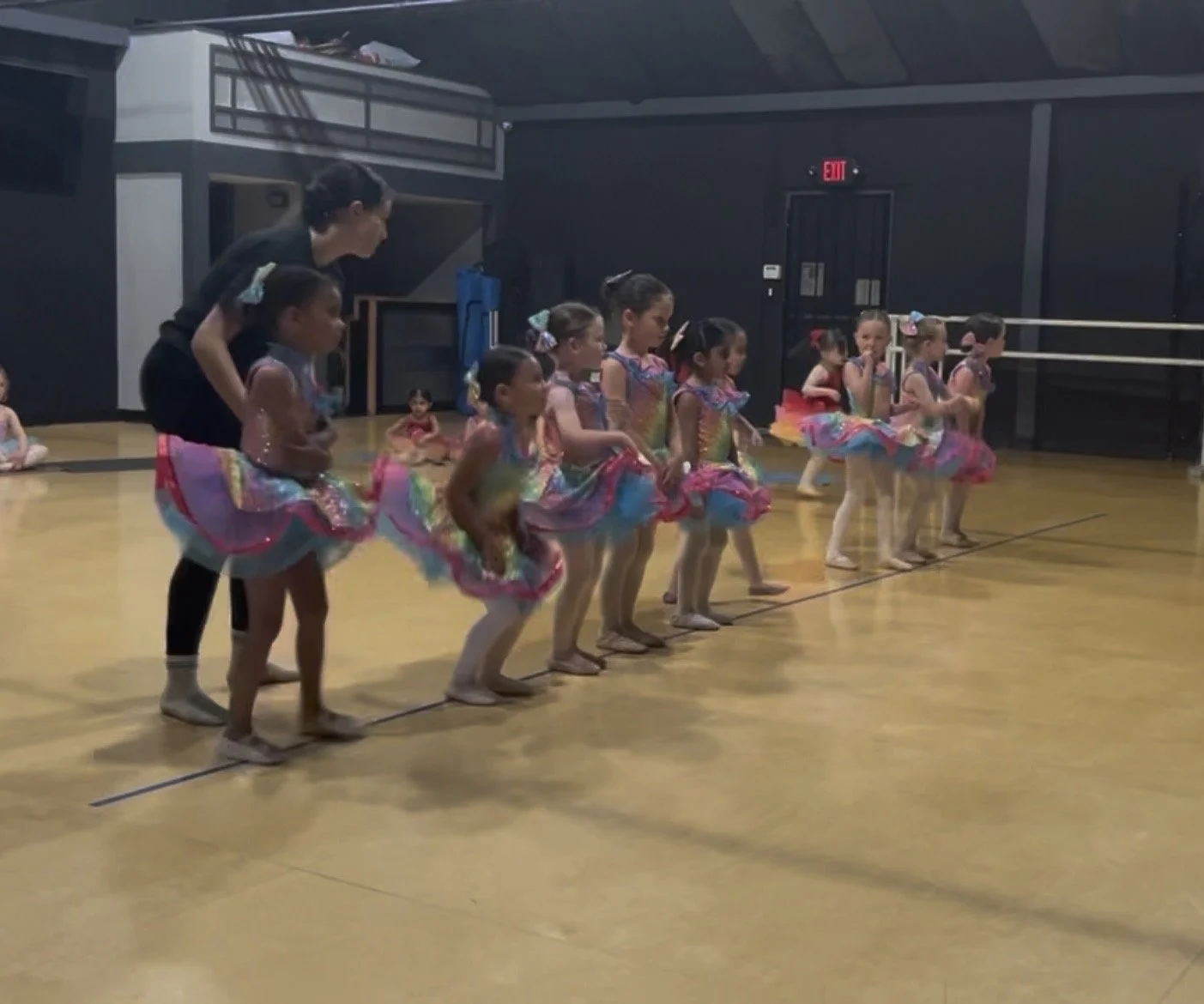 Winter Show - Dress Rehearsal