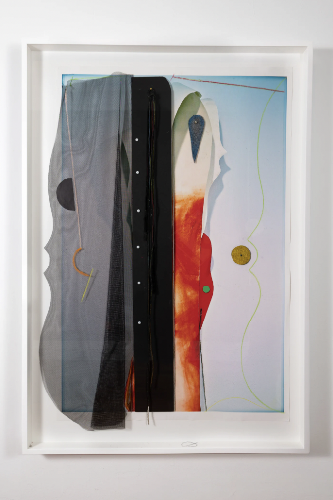 BlackHead Passage To Night, 2022, pigment ink, polyester, acrylic, oil pastel, color pencil, map pins, tacks, Hahnemuhle and other papers, plastic mesh, foam core board 51 x 34 inches