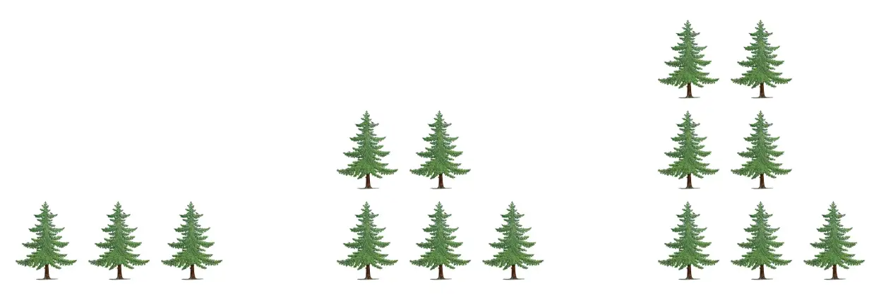 Patterns 1 through 50 — Visual Patterns