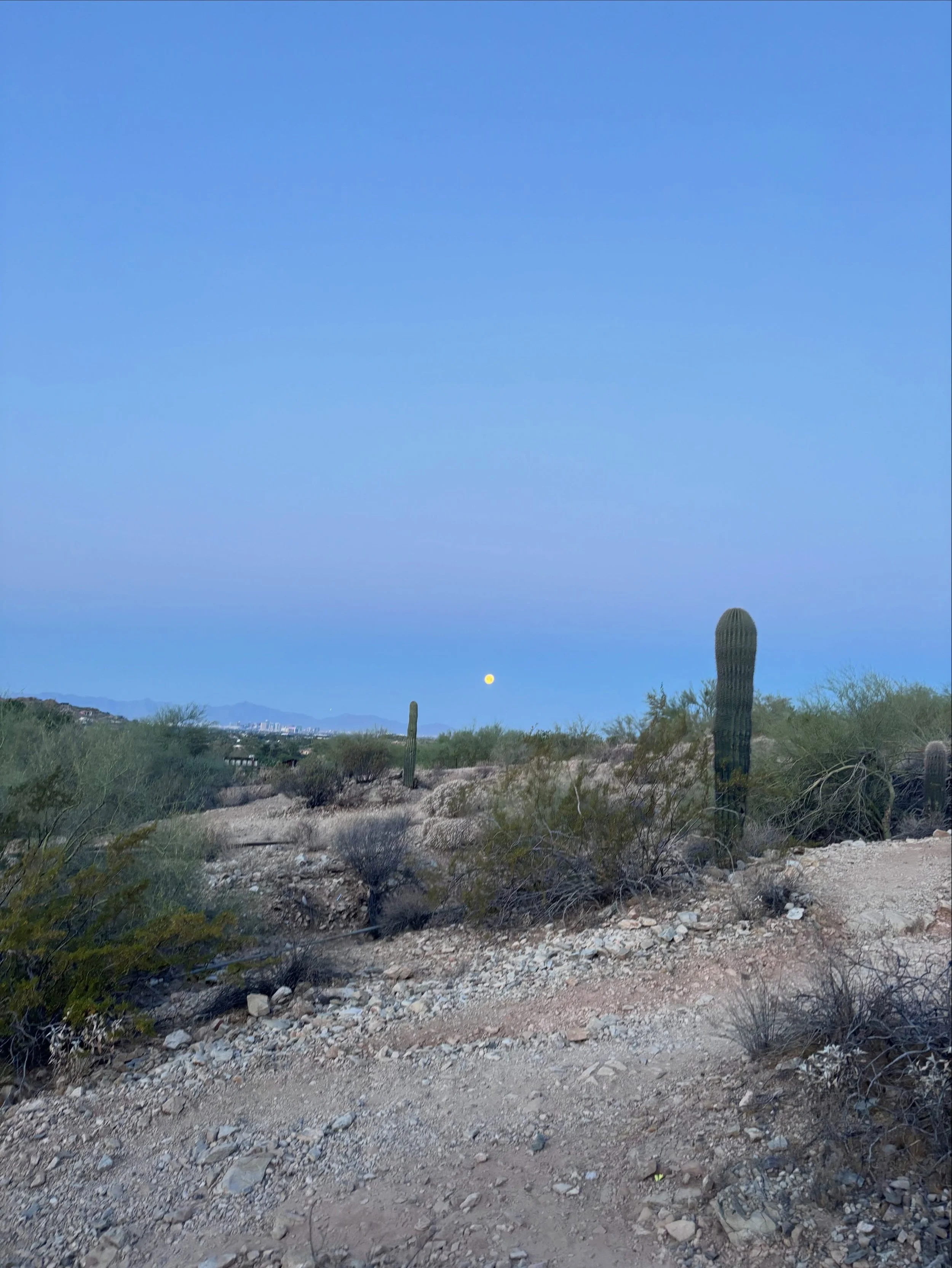 Had such a good time at Desert Days last week! It was so fun to meet @shelbytheslp in person finally. The resort was amazing, I made new SLP friends, and I learned a lot from all the speakers. Super impressed all around. Thanks @bjorempublications fo