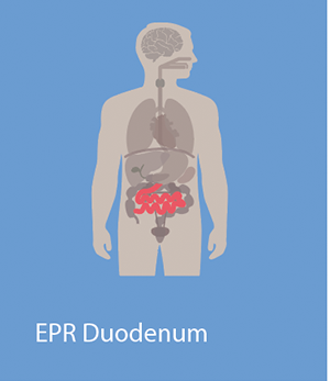 EPR_Duodenum.png