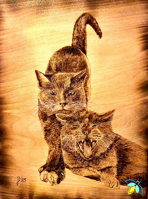 Cat woodburning