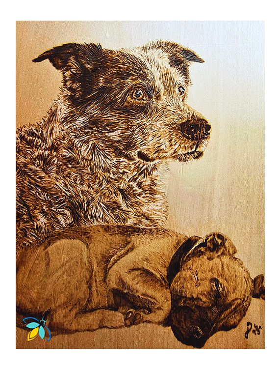 Dog woodburning