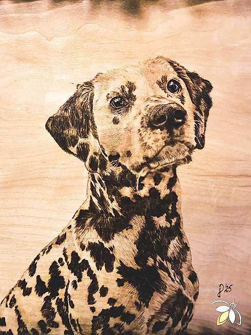 Firefly pyrography
