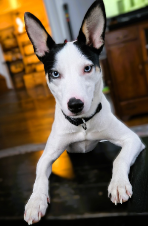 Screenshot 2026-04-19 153540.png