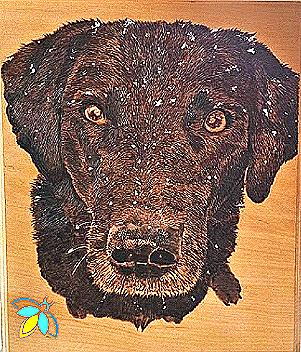 Firefly pyrography pet portrait