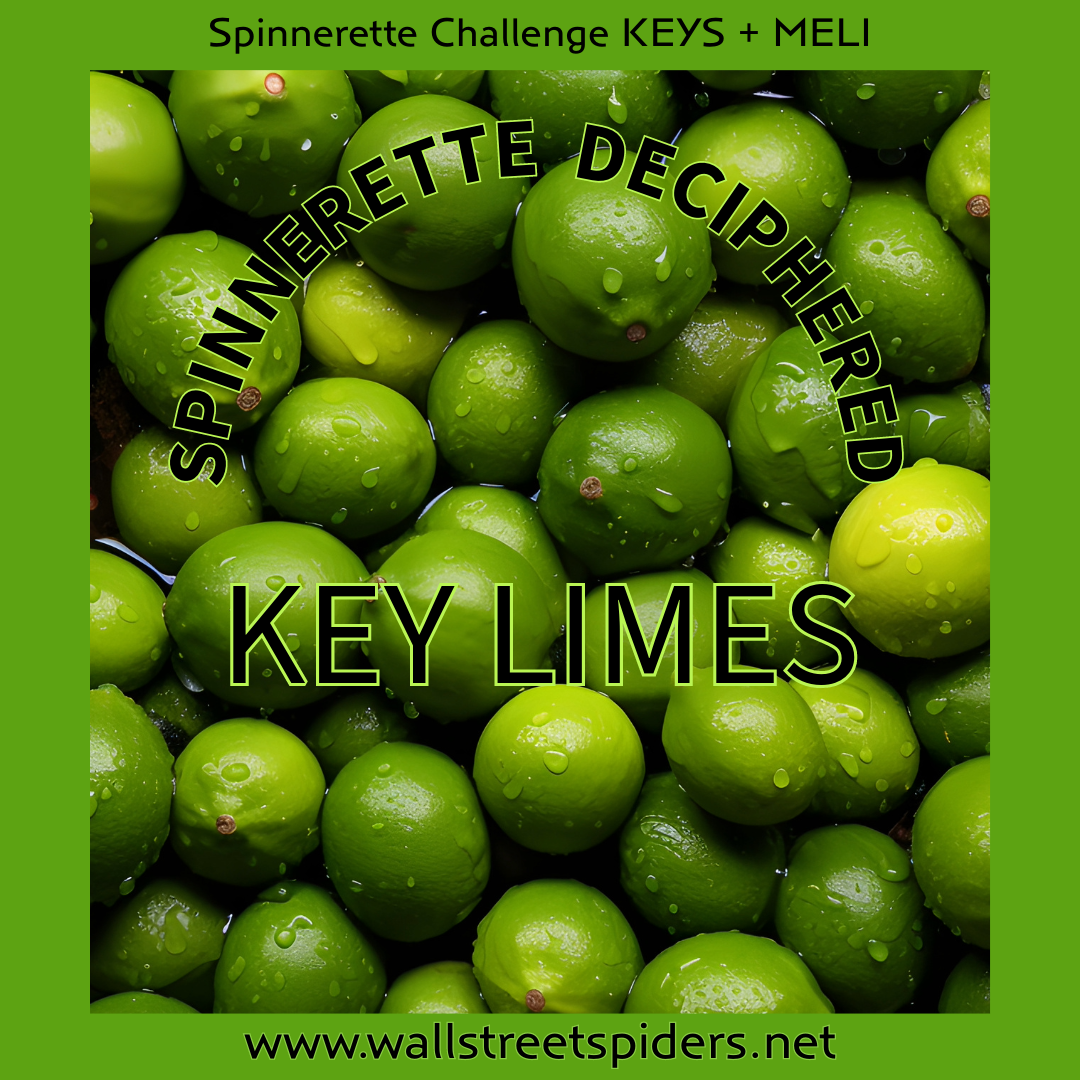 SPINNERETTE 12.12.23