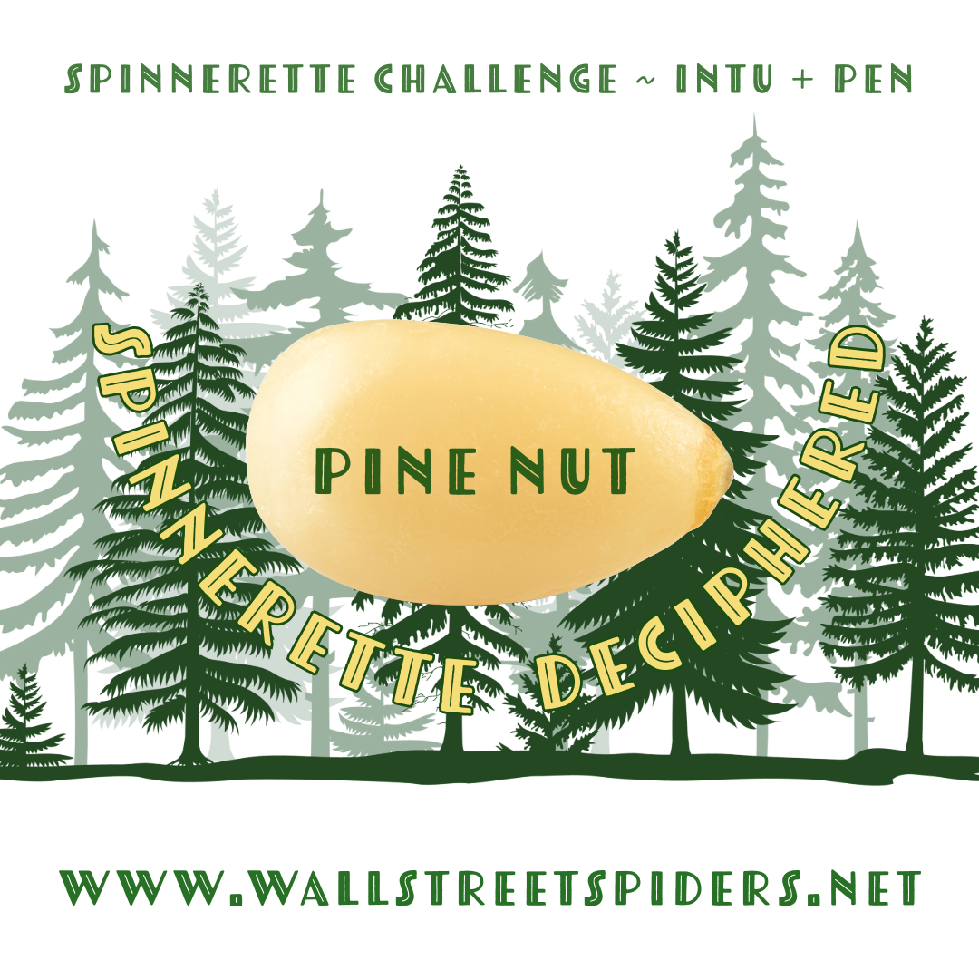 Spinnerette: 03.25.24