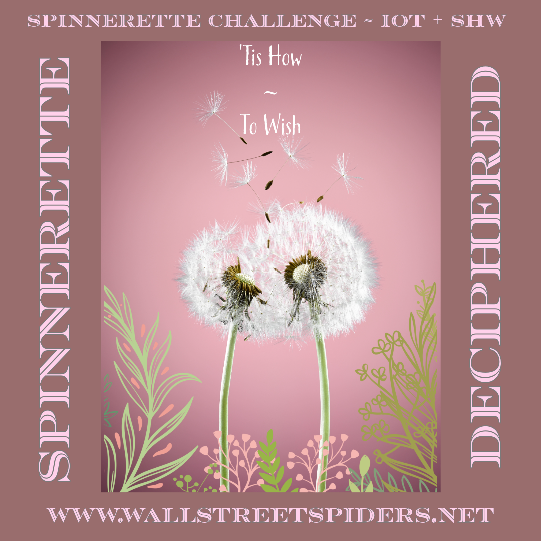 SPINNERETTE: 04.01.24