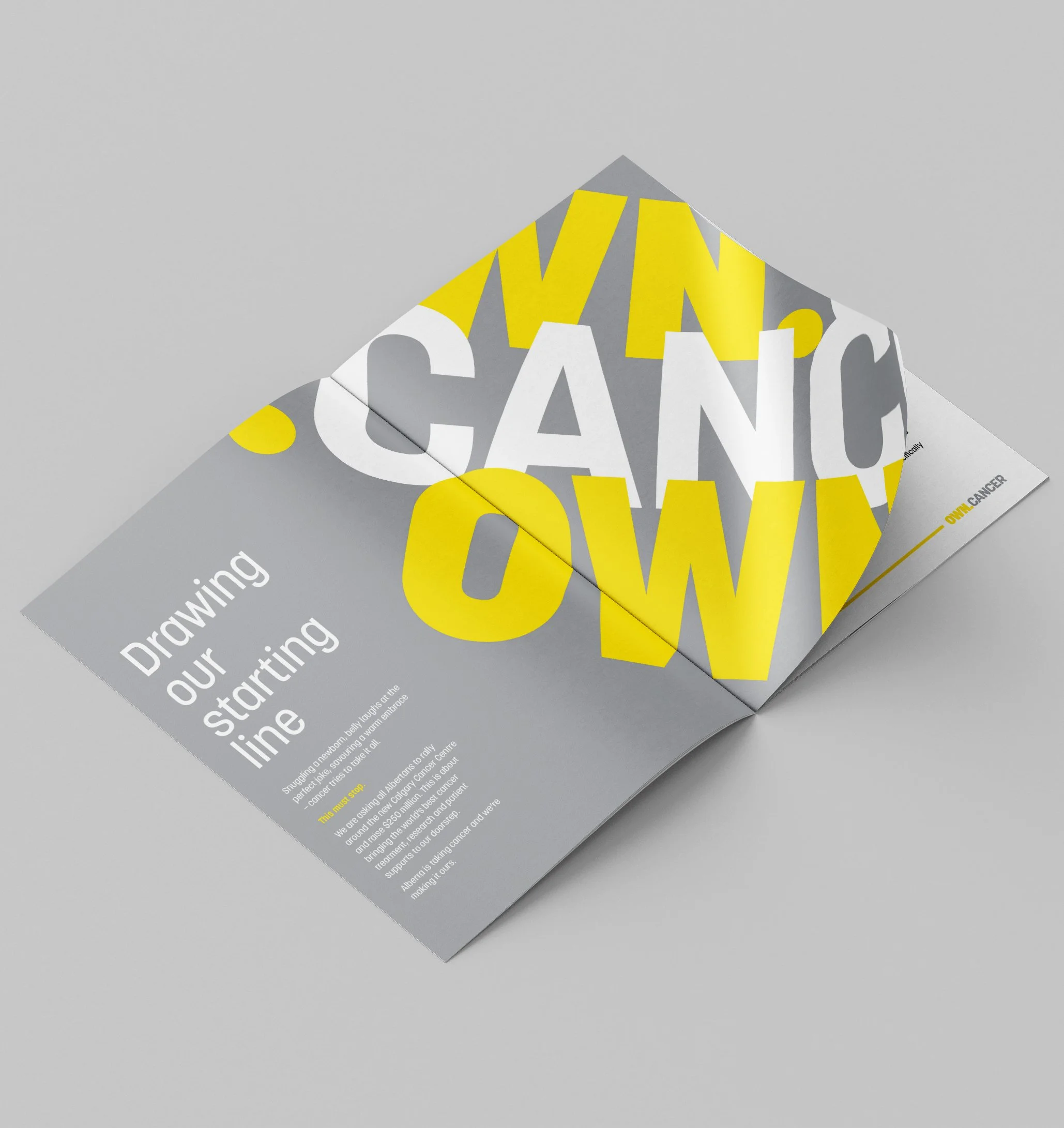 OWN_Brochure.jpg