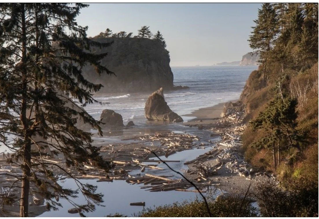 Art gallery display with various framed paintings and artworks on beige walls, including small sculptures and decorative items on black-draped tables, titled "Point of View - 2025." Mara created a 3D piece for this show. 