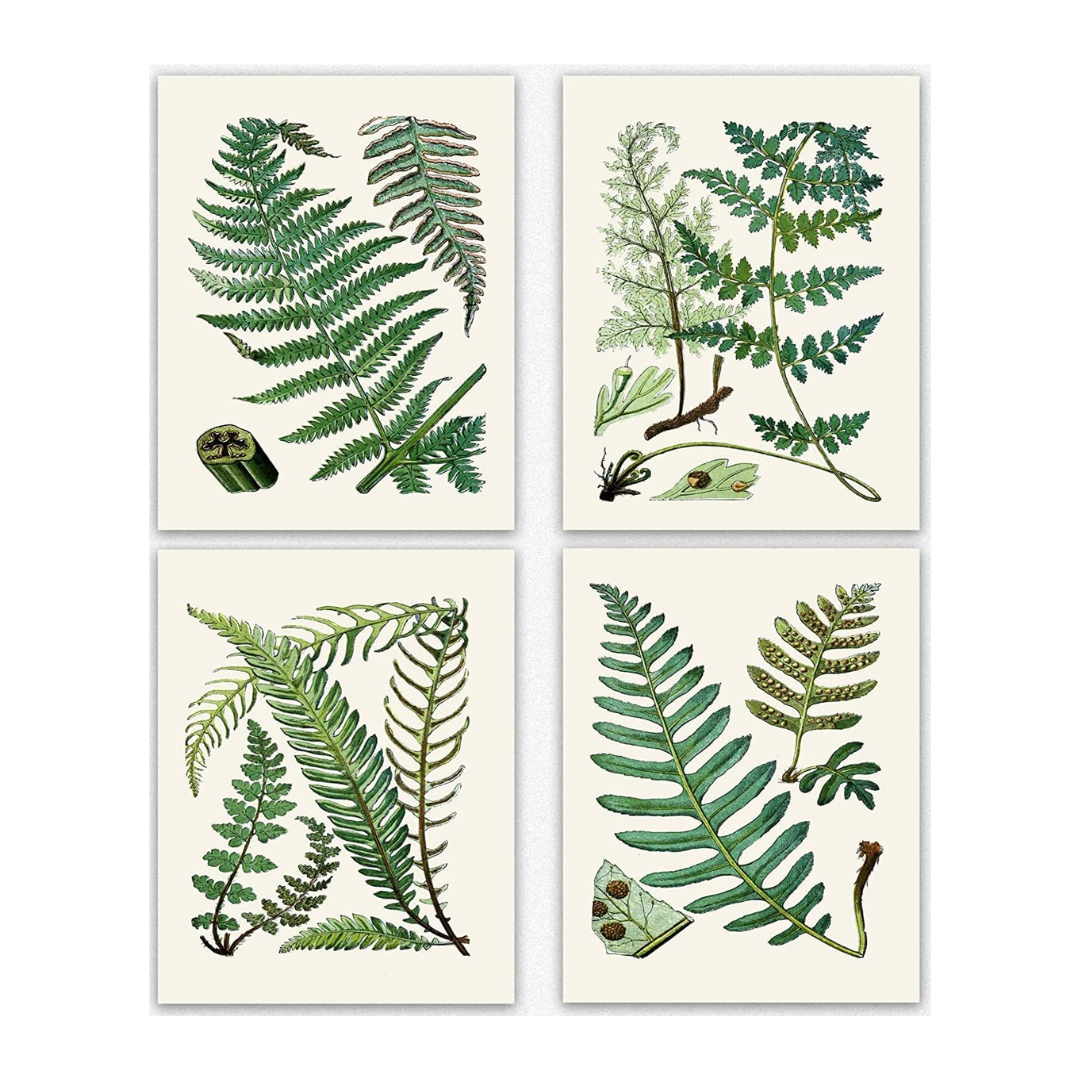 botanical-fern-print-poster-set-of-4.png