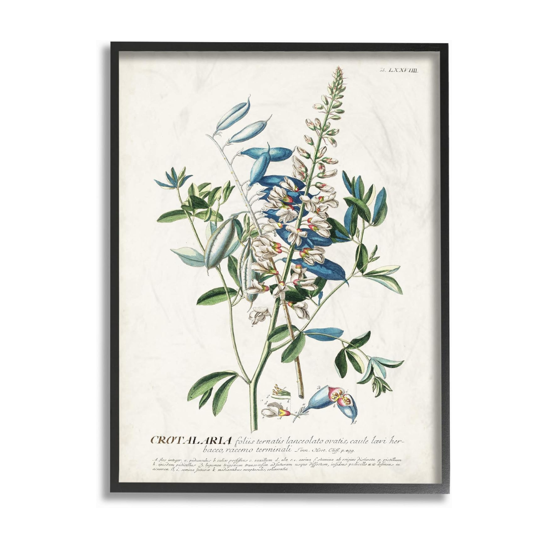 botanical-floral-print-framed-wall-art.png